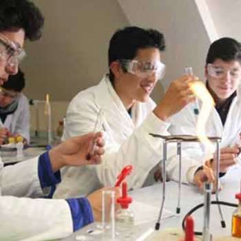 Cambridge Juniors English Plus